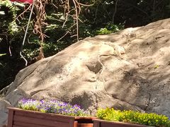 -终南山南五台景区