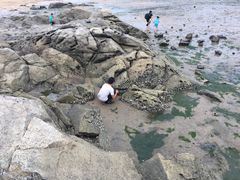 -在海一方公园