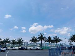 -东澳岛