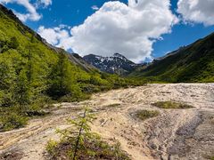 -黄龙山原始森林景区
