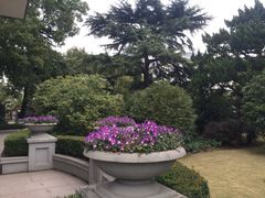 iphone_upload_pic-上海虹桥迎宾馆