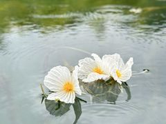 -丽江泸沽湖景区