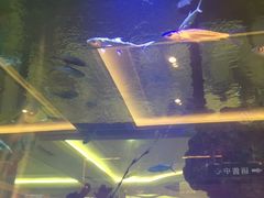 -碧桂园凤凰城酒店(南京店)