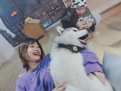 -Husky Go! 哈士奇体验馆·宠物咖啡厅狗咖