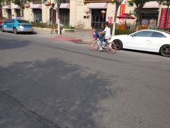 -张树军海鲜(王府壹号店)