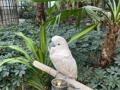 -南宫五洲植物乐园