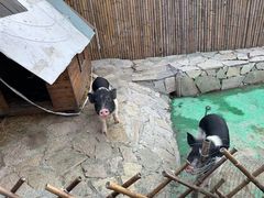 -HERRE·FARM 赫尔露营农场·团建聚会包场