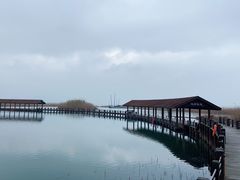 -太湖湖滨国家湿地公园-停车场