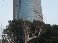 -上海瑞金洲际酒店
