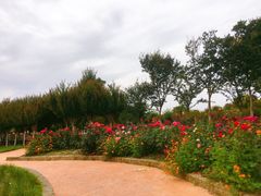 -武汉紫薇都市田园