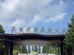 -黄海国家森林公园