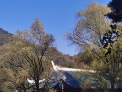 -黔灵山公园
