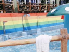 -观唐（国际）度假村温泉