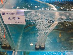 -胖姐渔村(中源大道店)