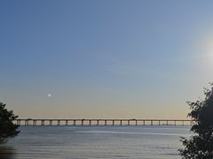 -宝安西湾红树林湿地公园