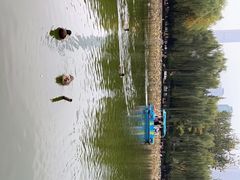 -团结湖公园