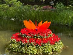 -上海共青森林公园