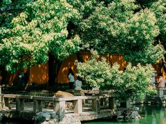 -西园戒幢律寺