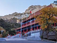 -大芦花风景区