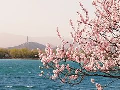 -颐和园-景明楼