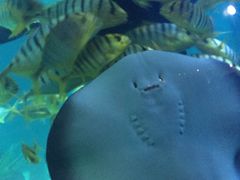 -常州海昌海洋探索馆