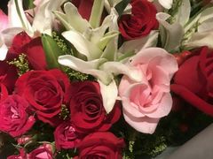 -俏江南(中山路先天下广场店)