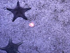 -暹罗海洋世界