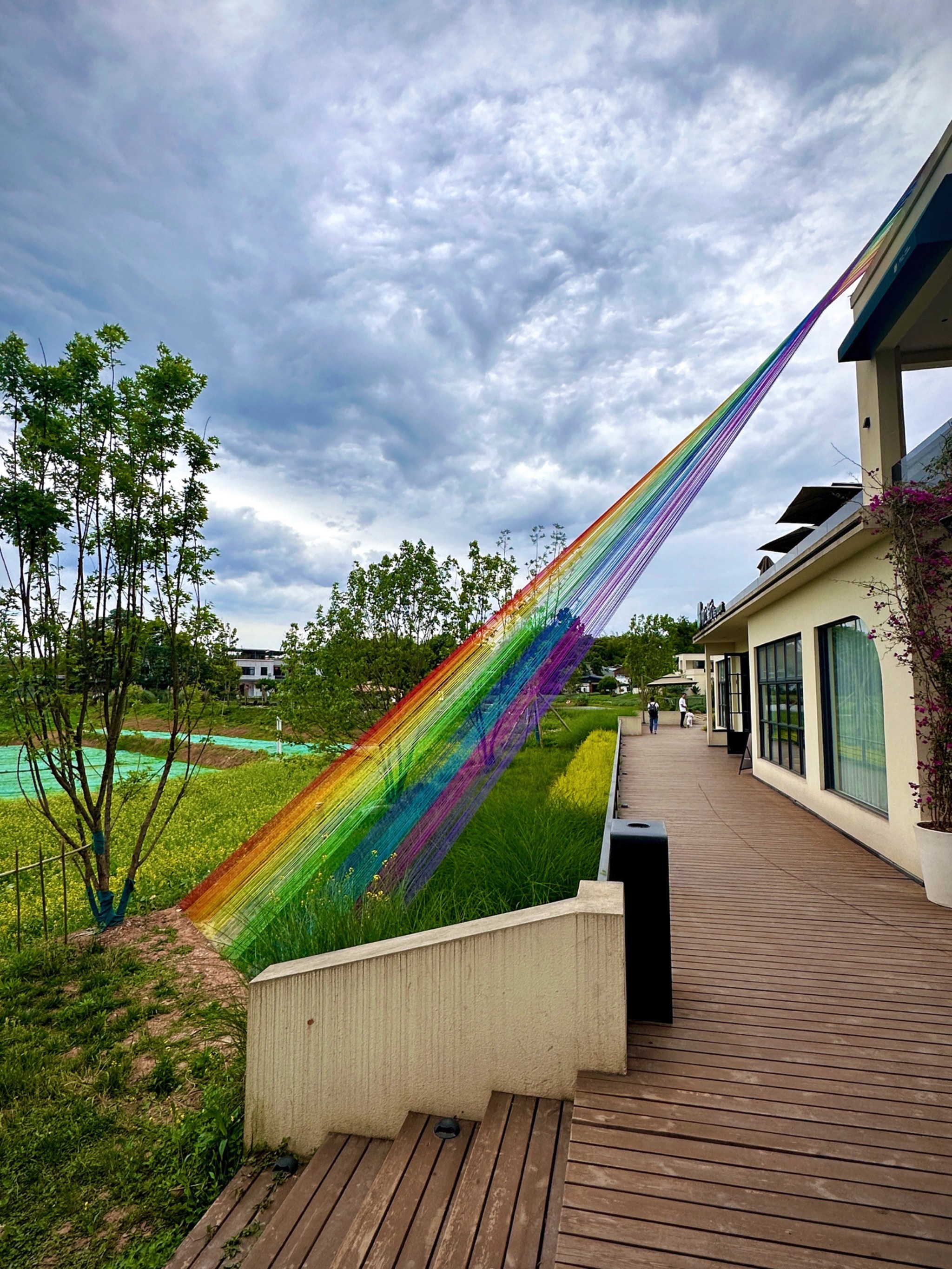 带娃闯进童话森林‼️亲子下午茶,喂黑天鹅,烤肉