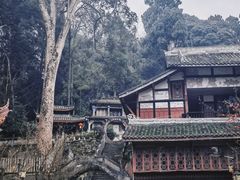 -都江堰普照寺