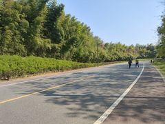 -杏花村文化旅游区
