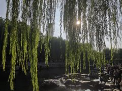 -环城公园