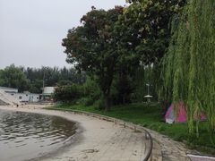 -柳浪游泳场