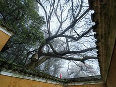 -普陀山慧济禅寺