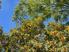 -白塘生态植物园