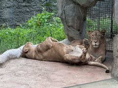 -北京野生动物园