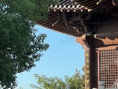 -杭州半山国家森林公园