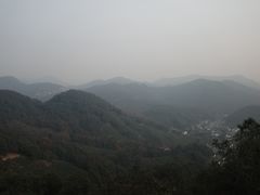 -龙井村
