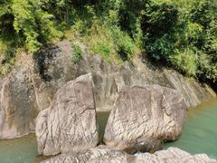 -广州白江湖森林公园