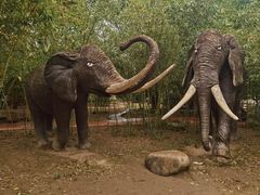 -揭东万竹园旅游景区