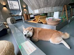 -CEMENT·coffee bar (凤凰创意园店)
