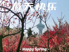 -南京古林公园