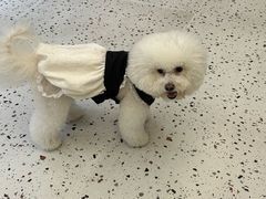 -瑞派康怡24h宠物医院·犬猫医疗中心·微创绝育(瑞景分院)