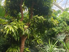 -忆江南·生态餐饮宴会酒店