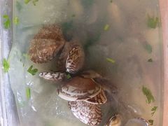 -九龙餐厅(大沽路店)