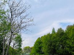 -尚贤河湿地