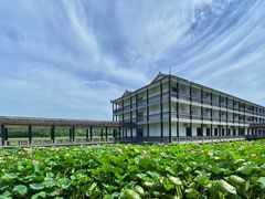 -洪湖生态旅游区