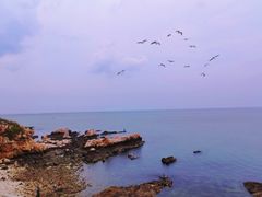 -养马岛旅游度假区