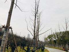 -扬州瘦西湖汇金酒店