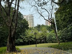 -晓港公园