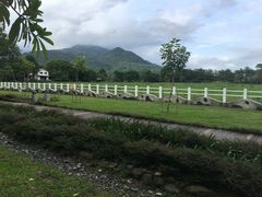 -瑞穗牧场
